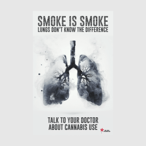 NB Lung Cannabis Poster - White (English)
