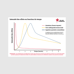 NB Lung Cannabis Pocket Cards (French)